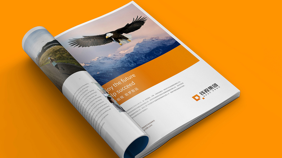 金融公司VI設(shè)計(jì)