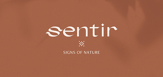 圍巾品牌形象設(shè)計(jì)